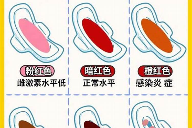 鼠尾草有毒吗