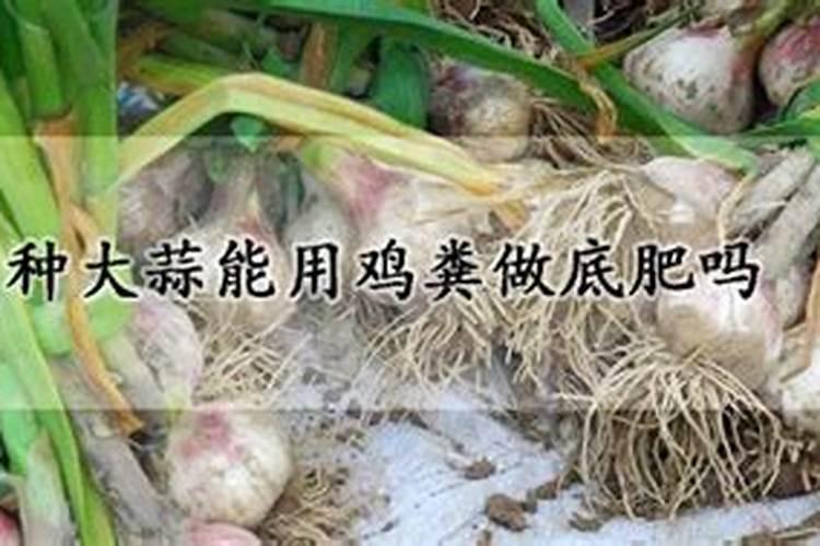大蒜底肥氮磷钾配比