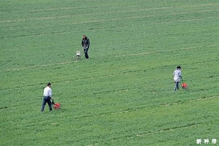 形容春天万物复苏的诗句唯美文案