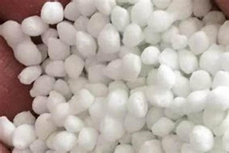 一般的花草植物上什么肥最好 花卉肥料有哪些