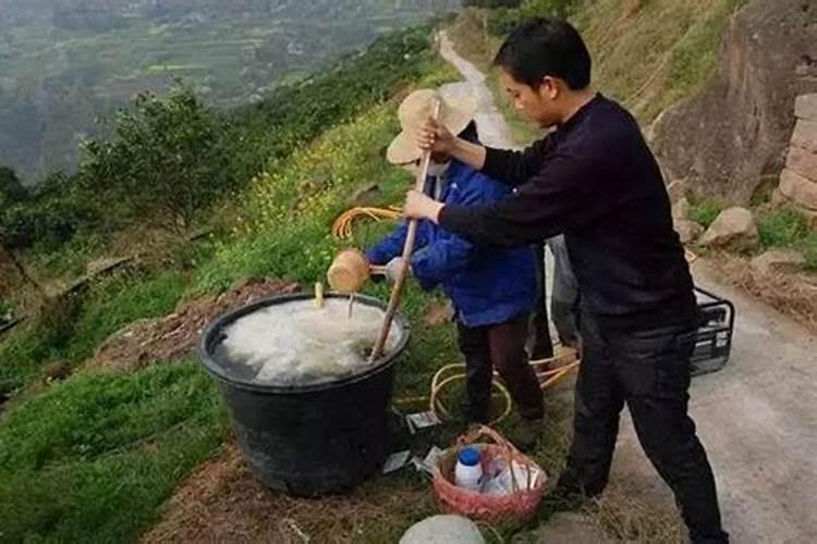 茶花树施什么肥料最好,在土里的茶树？