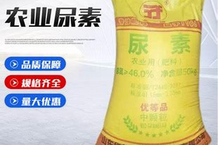 常见的氮肥