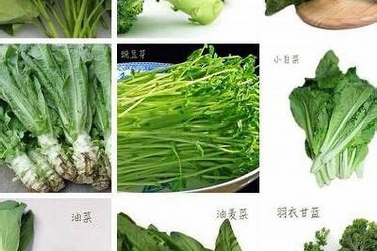 芹菜能用朋肥吗