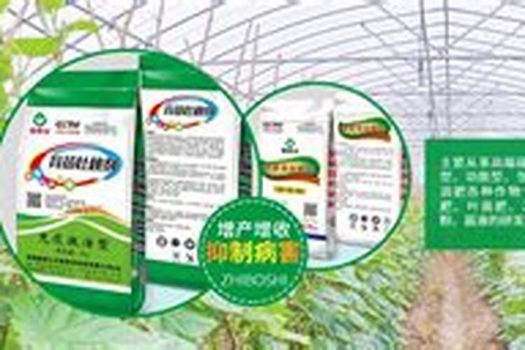 氮肥的作用有哪些