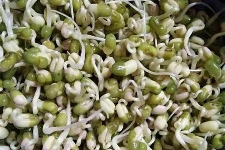 绿豆用什么肥料最好 绿豆的施肥方法