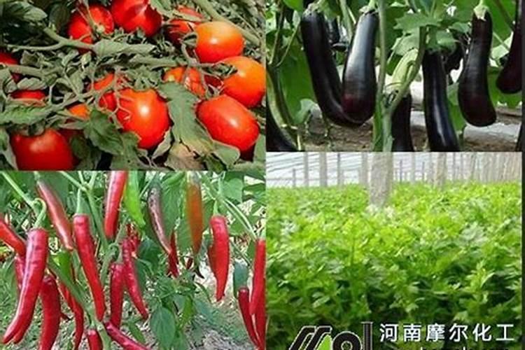 哪些植物需要钾肥