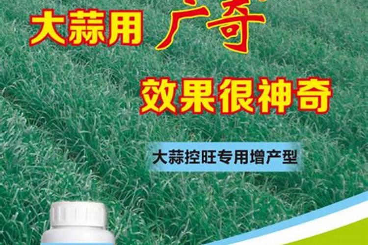 叶面肥哪个厂家最好