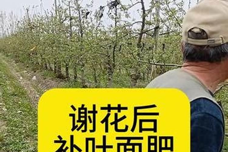 100斤水放多少尿素浇菜