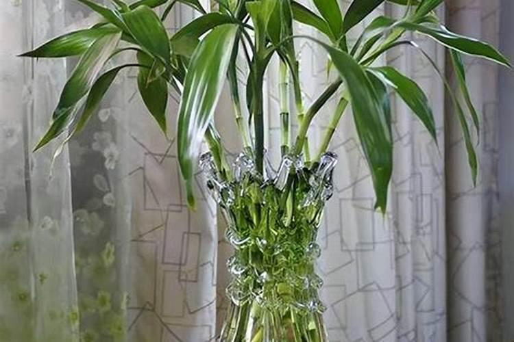 氮肥供应过多会导致植物