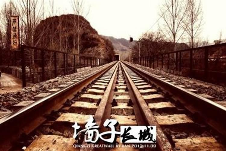 枣树坐不住果怎么办？如何才能让枣树果子挂满枝头？