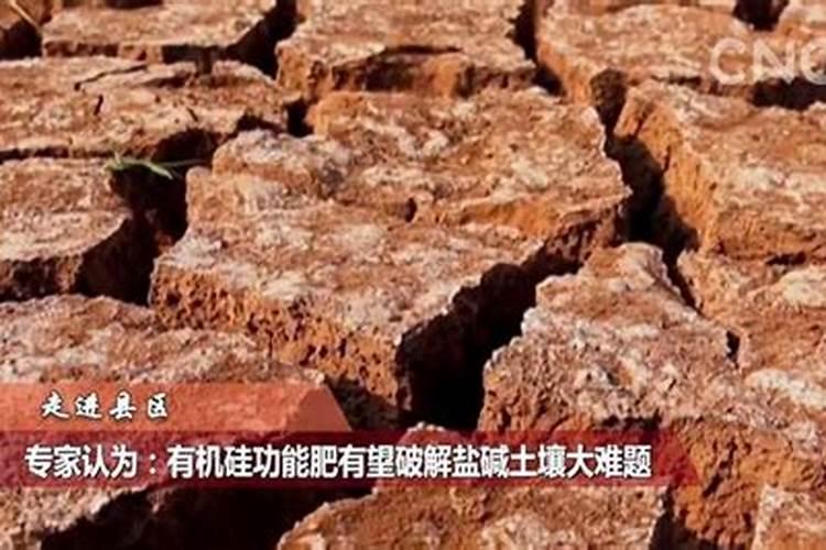 硅肥对莴笋控旺有作用没