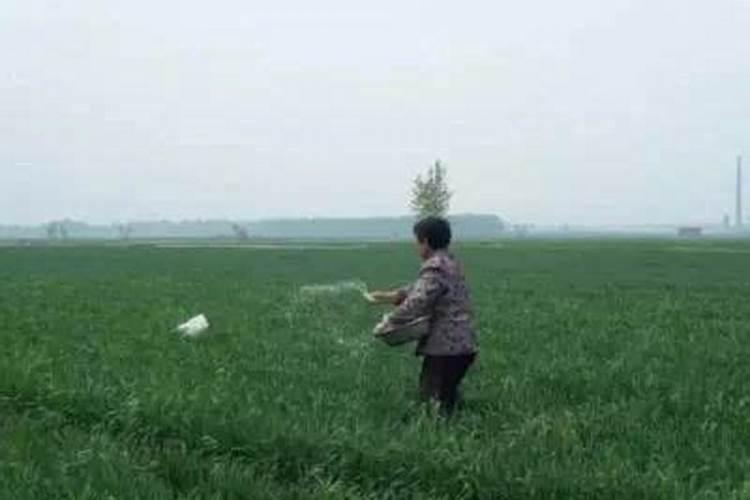 复合肥在地里为什么不化