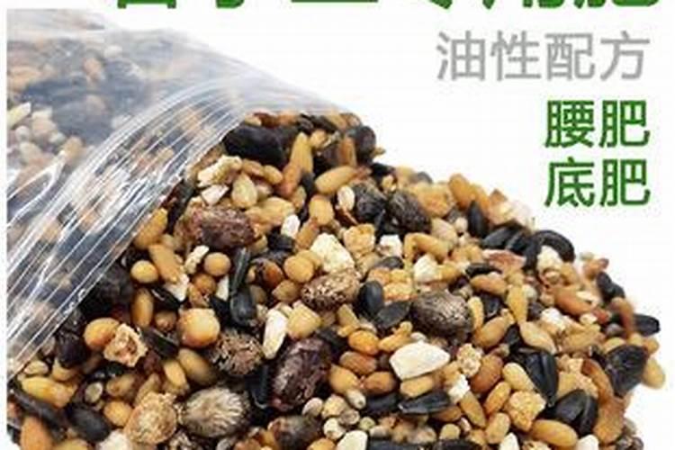 红木制品应该如何保养？