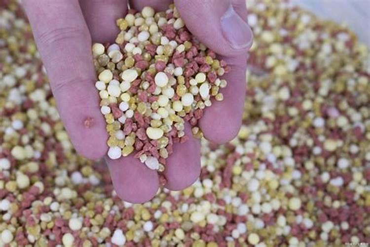 大棚阴天下雨可以打叶面肥吗？