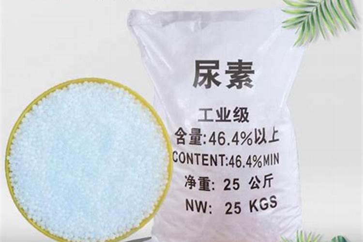 尿素现在多少钱一吨？