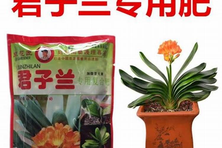 葡萄硼肥什么时候打最好？开花前？还是花期打？