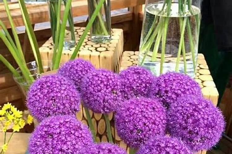 南疆土地用过氯酸钙好还是二铵好