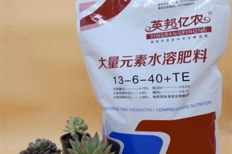 桂花专用肥有用吗