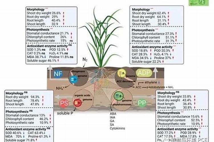 氮肥好还是尿素肥好