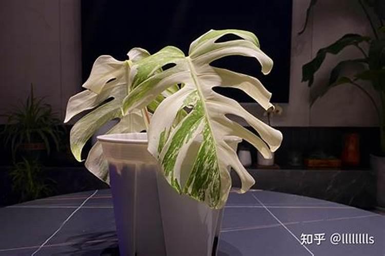 哪位了解涂料中有甲醛吗？要怎么去除？