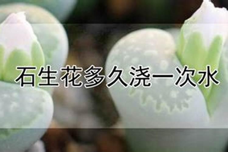 鱼蛋白加花生枯肥好吗