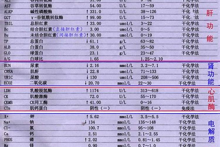 夏季养生,千万别错过这4种瓜!