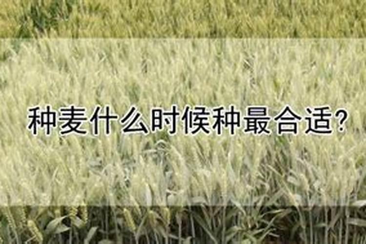 骨粉钙肥的施用方法请回答