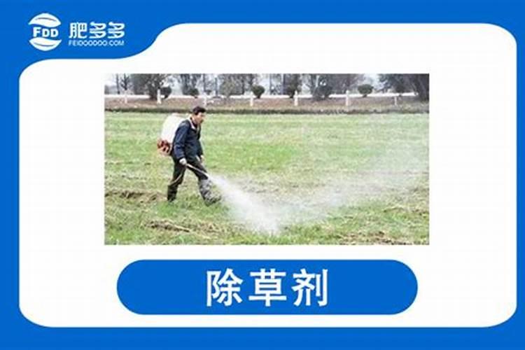 水果蔬菜上用催红素、乙烯里等催熟剂对身体有什么害处？