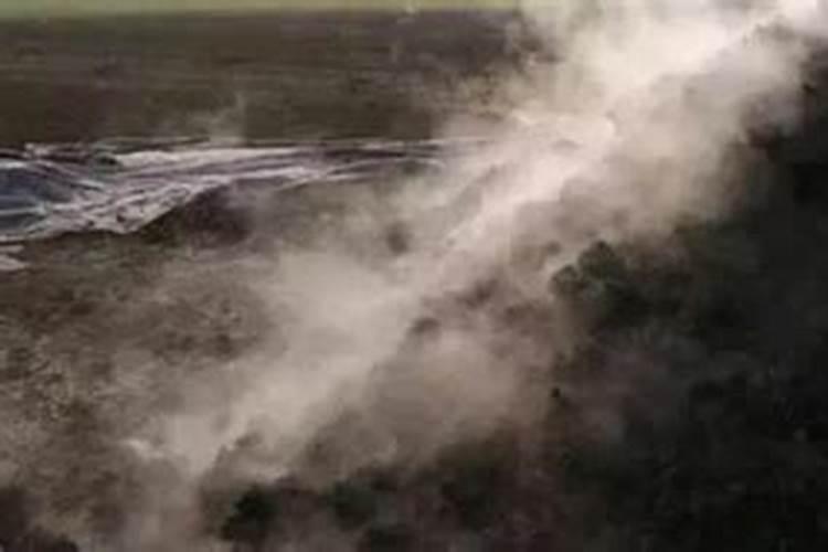 果树少量多施方法