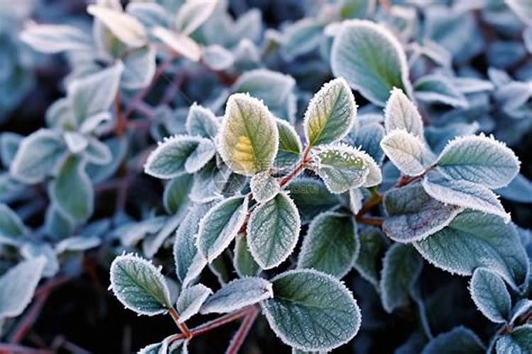 北京的水果批发市场在哪里