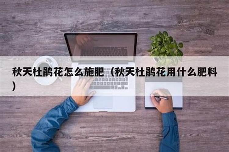 春季杜鹃花怎么施肥 施什么肥才能开花