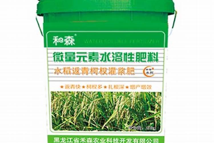 什么叶面肥能使叶子快速变绿变厚什么肥料可以使叶片肥厚