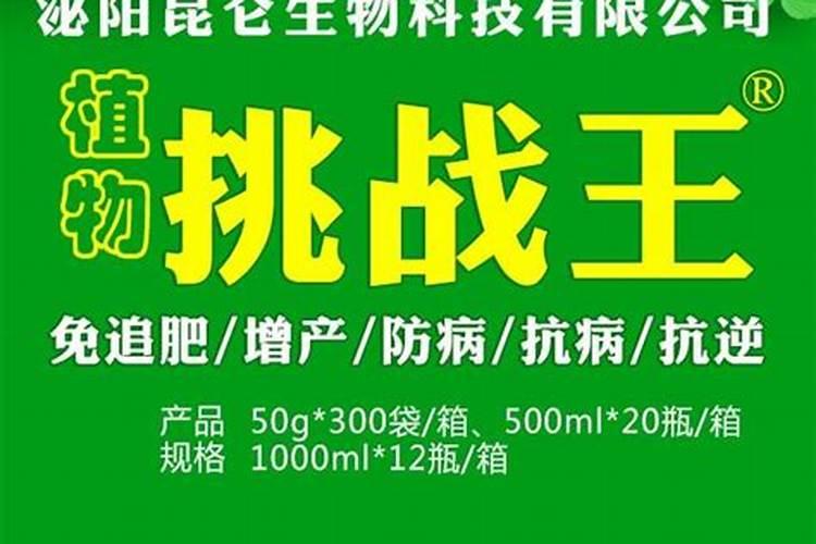 吨粮王适合保定种植吗抗倒伏吗
