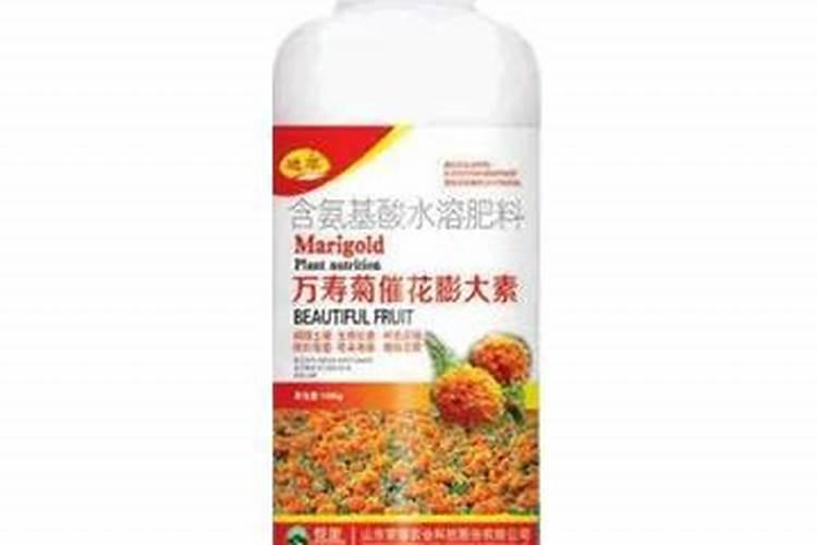三月份种什么花种子