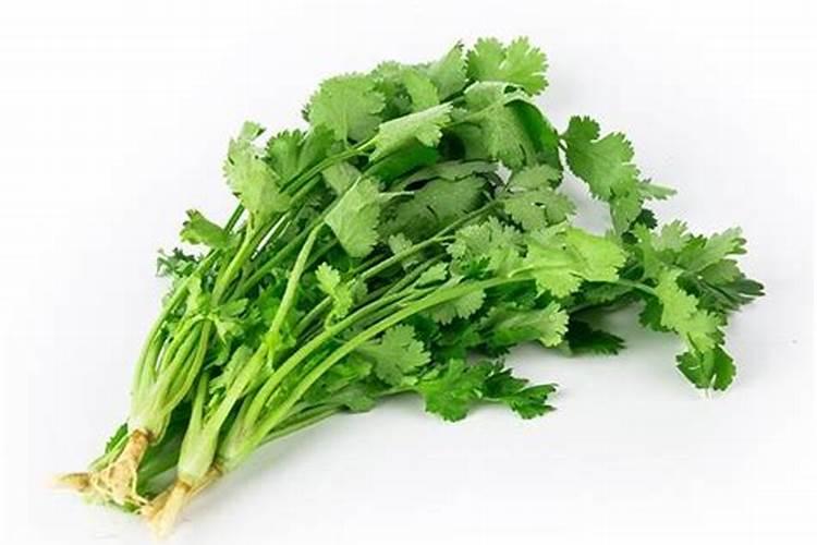 香菜怎么追肥啊,用什么含量的好