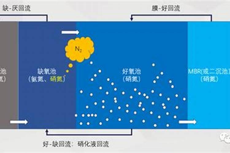 氨氮的去除问题？