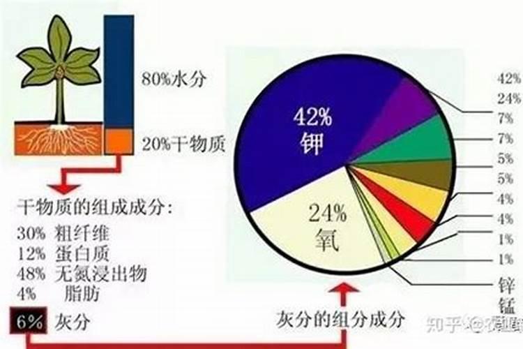 如何给苹果树平衡施肥