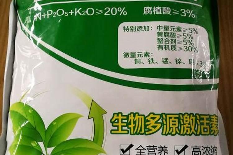 樱花什么时候开花？