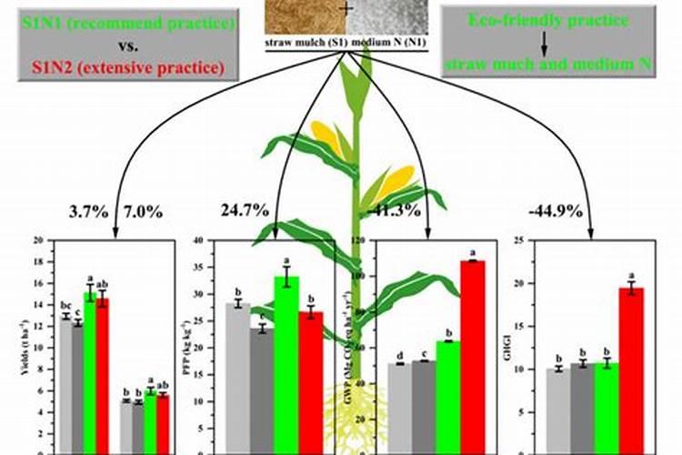 无花果保花保果打什么叶面肥？无花果挂果期用的肥料？