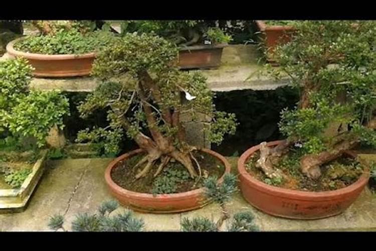 请问长期处于储存化肥和农药的房间,会对人体产生怎样的危害？