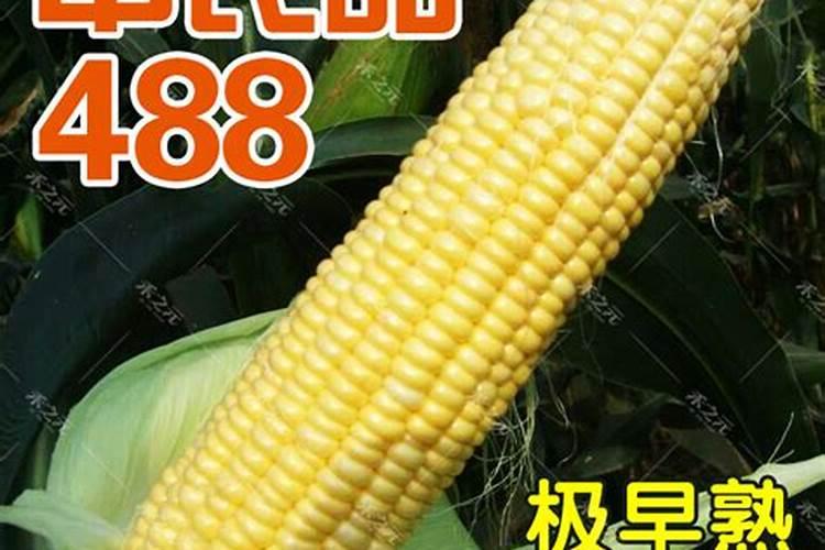 大豆相关股票,大豆相关上市公司有哪些