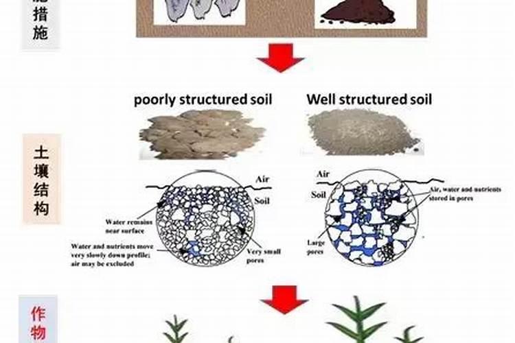 成都有哪些特色小吃？