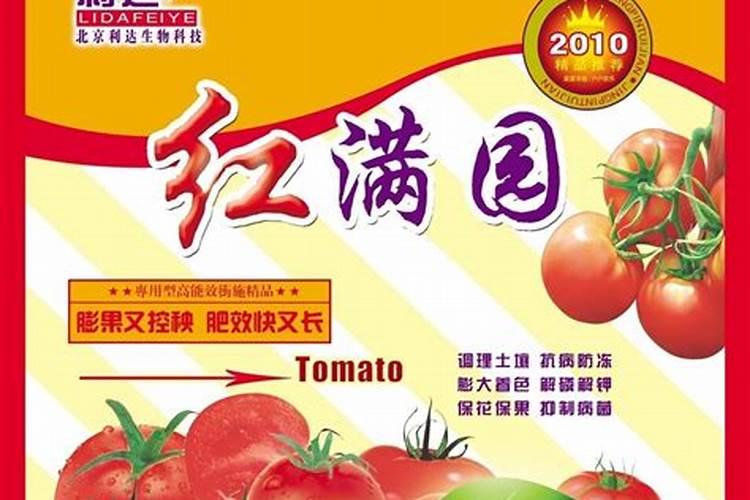西红柿需用什么样的肥料