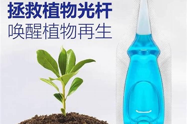 肥料怎么做