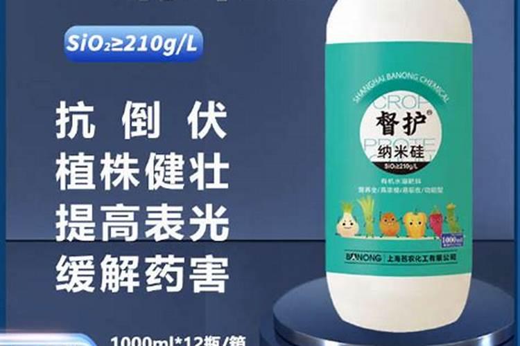 种子泡生根水时能拿去晒太阳吗？