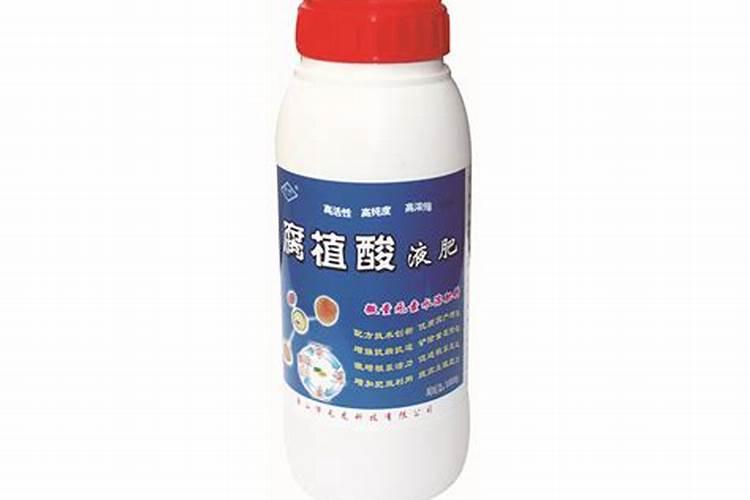 青松建化的所属企业