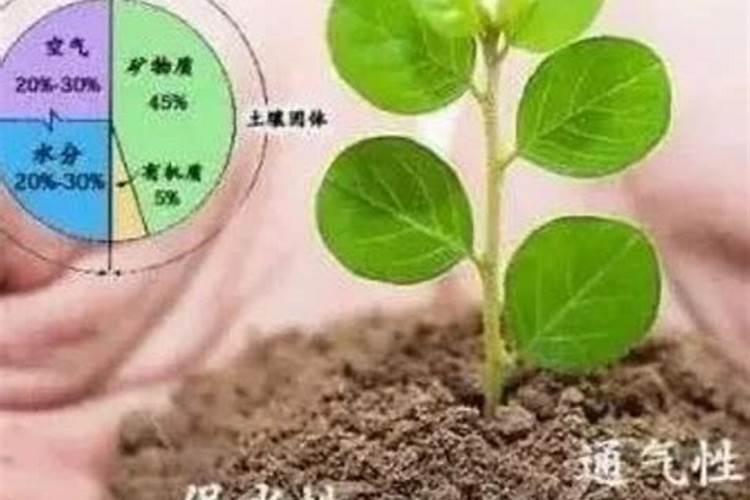 土壤什么含量是土壤肥力水平高低的标志