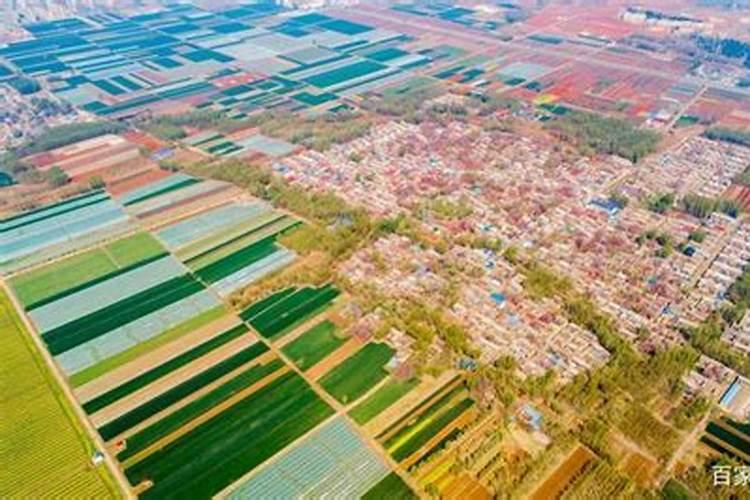 桃园镇山东肥城