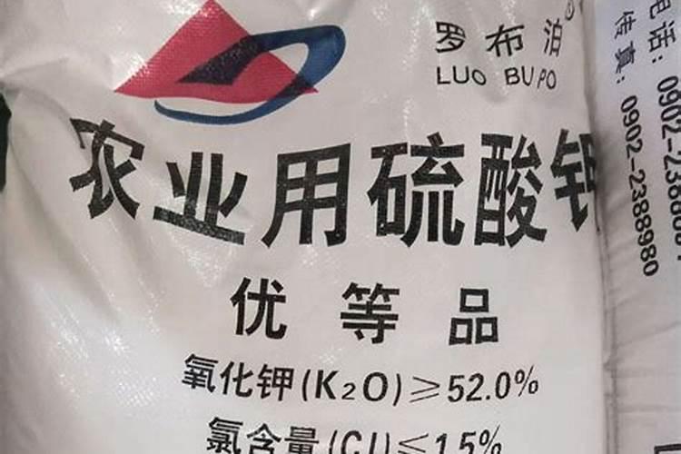 硅肥什么牌子最好
