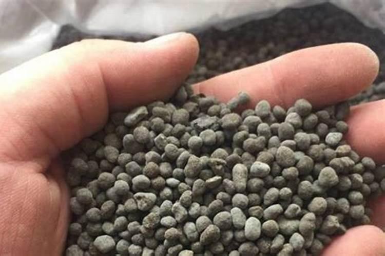 种植烤烟需要什么技巧吗
